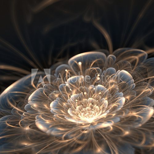 dark blue fractal flower with golden rays
