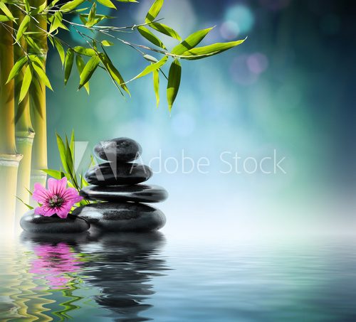 tower black stone and hibiscus with bamboo on the water