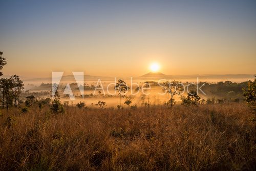  savanna with sunrise and fog