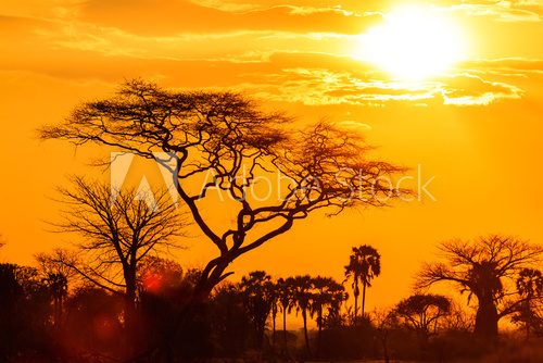 Orange glow of an african sunset