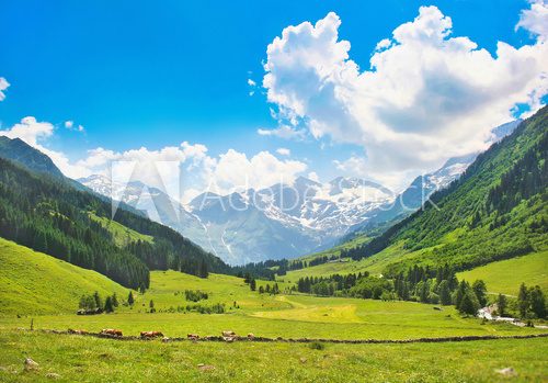 Beautiful landscape with Alps, Nationalpark Hohe Tauern, Austria
