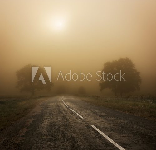 Autumn Landscape with Trees and Road in Fog