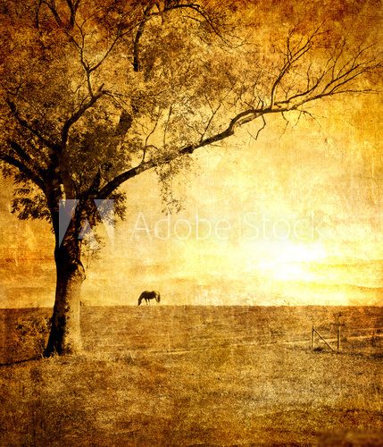 horse on sunset - toned picture in retro style
