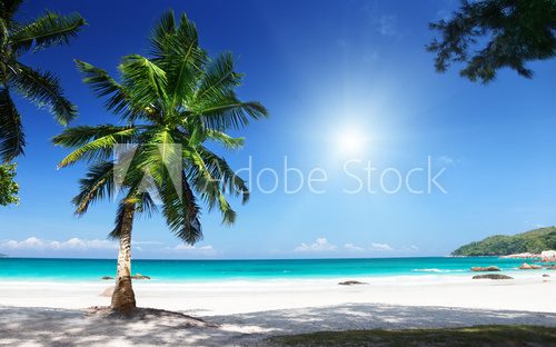 Anse Lazio beach Praslin island, Seychelles