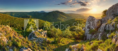Mountain forest panorama - Slovakia