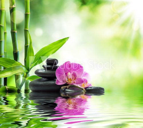 Background spa - orchids black stones and bamboo on water