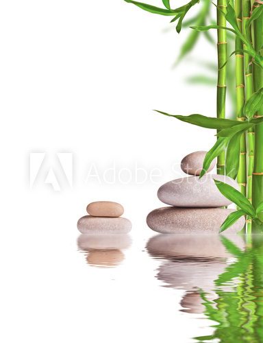 Spa still life with lava stones and bamboo sprouts 