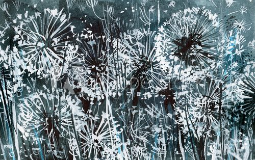 White dandelions on a dark-blue pattern, watercolor illustration, card, abstract background