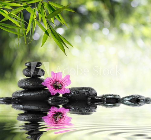 black stone and hibiscus with bamboo on the water