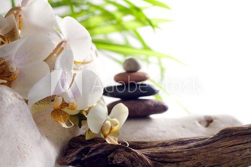 Spa concept with orchid and zen stones