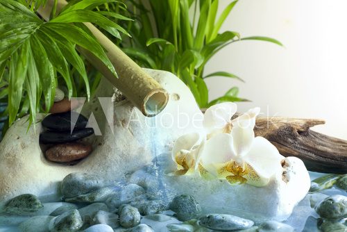 Orchids and zen stones with falling water spa concept