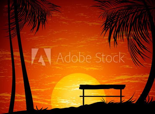 Beautiful view sunset with palm nature background