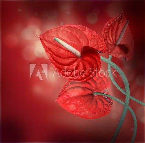 .Floral background of red flowers