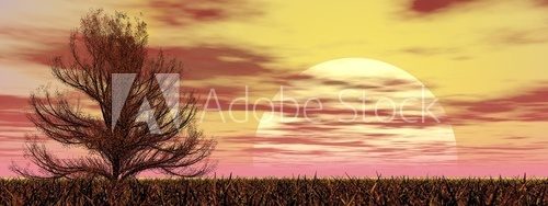 Oak tree at sunset - 3D render