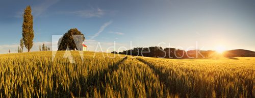 Sunset over wheat field with path and chapel in Slovakia