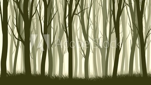 Horizontal illustration with many trunks tree.