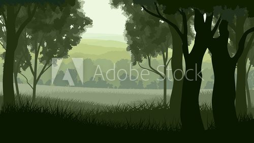 Horizontal illustration within greenwood forest.