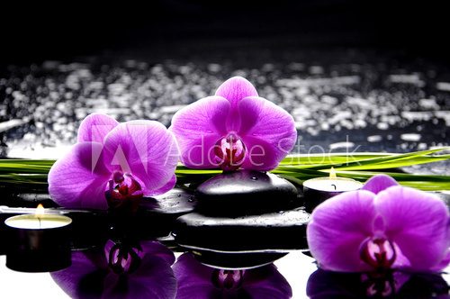 Spa still life with set of pink orchid and stones reflection