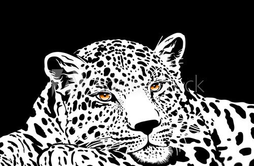 leopard with gold eyes