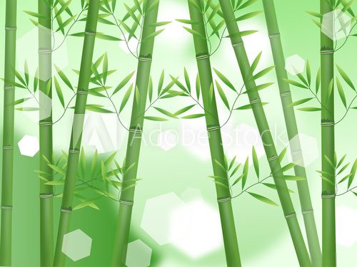 Abstract nature bamboo background