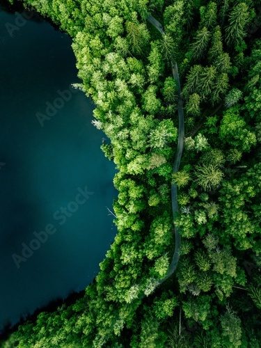 Aerial top view of country road in green summer forest and blue lake. Rural landscape in Finland.