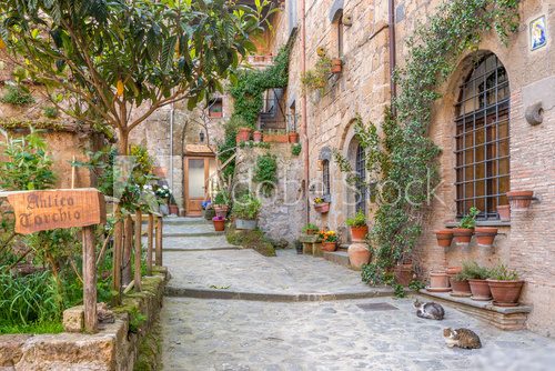 Alley in old town Tuscany Italy