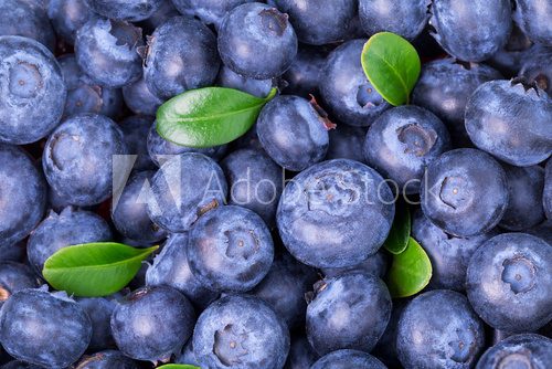 blueberries background