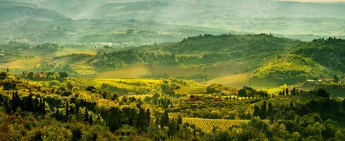 Fields in Tuscany