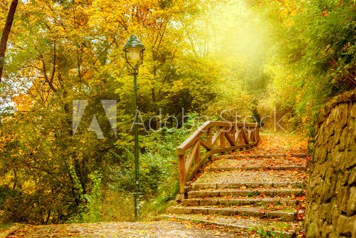 Stone stairs in a park