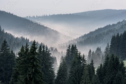 Foggy Landscape. View From Mountains to the Valley Covered with Foggy.