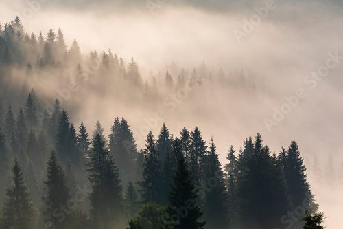 Misty dawn in the mountains. Beautiful Autumn Landscape