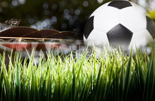 soccer football in green grass with stadium background