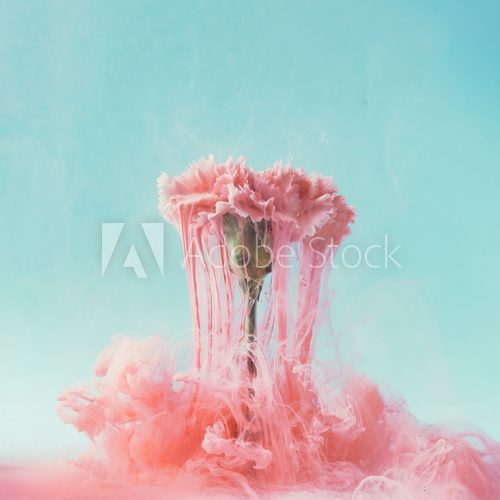 Pink carnation flower with pastel ink. Creative abstract spring nature. Summer bloom concept.