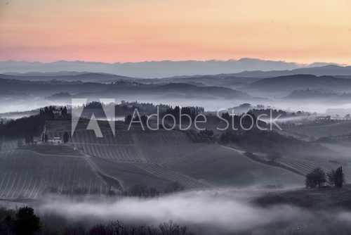 Misty morning