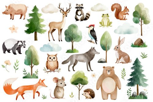 Set of hand drawn wild forest animals and trees. Watercolor woodland animals. Fox, wolf, mouse, reindeer, bunny.