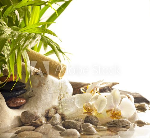 Orchids and zen stones with falling water spa concept background