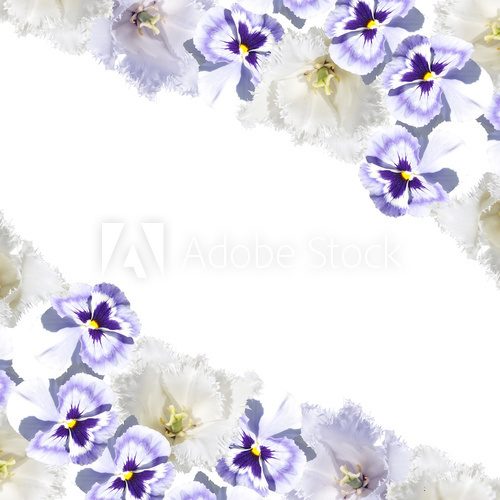 Beautiful floral background of pansies and tulips 