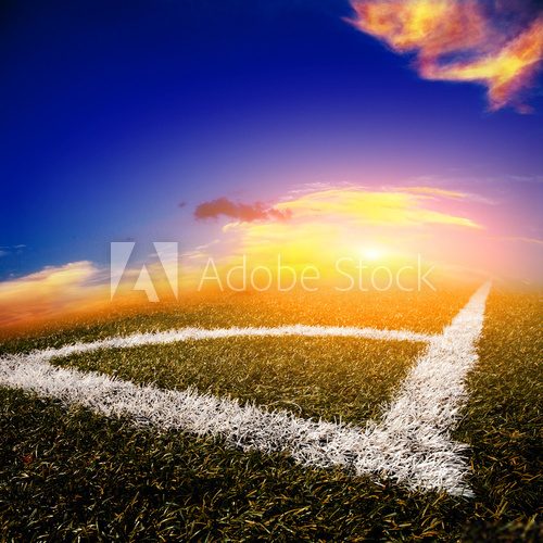 soccer ball on the field