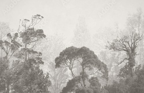 Vintage illustration with trees on grunge background. Design for wallpaper, photo wallpaper, fresco, mural and other.