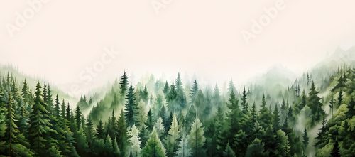 Watercolor painting of green coniferous trees, cloud forest in Alps, mountains, expandable banner, bottom image, background, generative ai