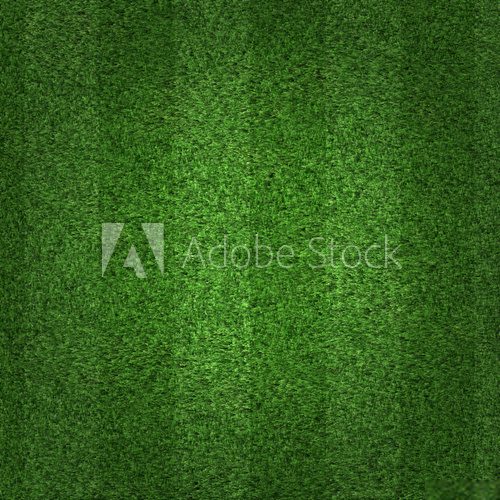 Green grass soccer field background