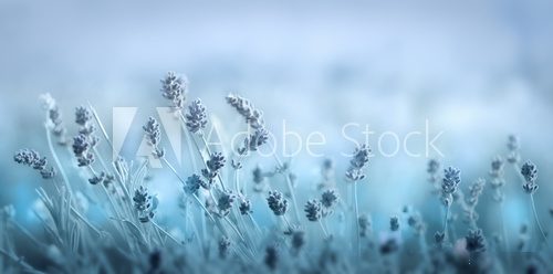 Soft blue spring floral background