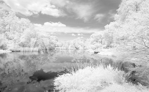 Infrared image of the Central Park