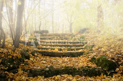 Herbst, Treppe im Nebel, Weg nach oben