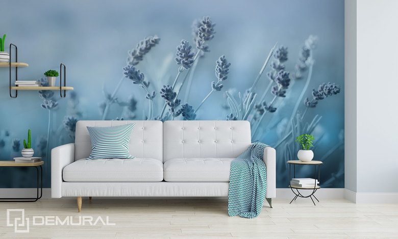 zamglony urok laki fototapety prowansja fototapety demural