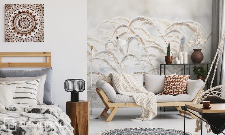 delikatnosc traw tworzy klimat fototapety do salonu fototapety demural