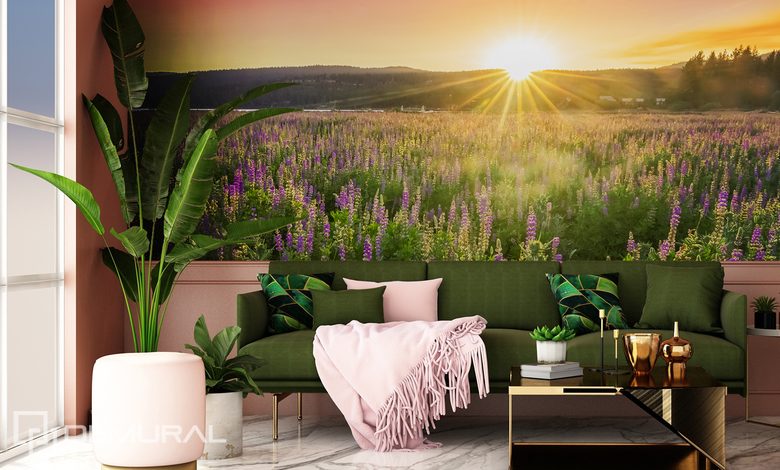 wez glebszy oddech i podziwiaj widoki fototapety zachod slonca fototapety demural