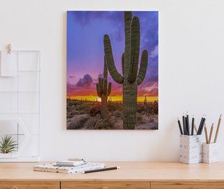 zachod slonca nad kaktusowa dolina obrazy do biura obrazy demural