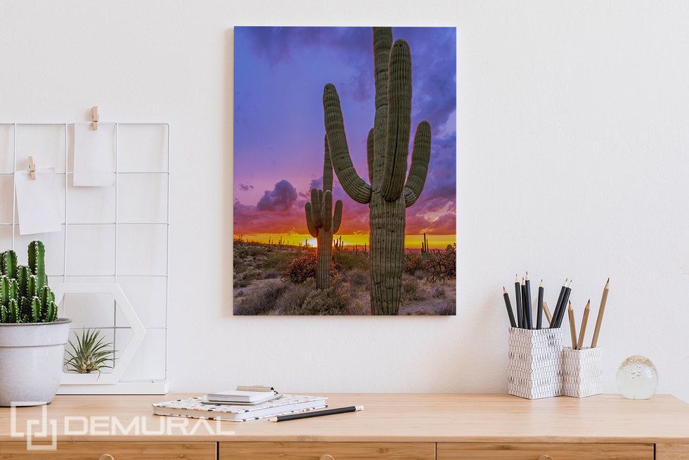 Zachód słońca nad kaktusową doliną Obrazy do biura Obrazy Demural