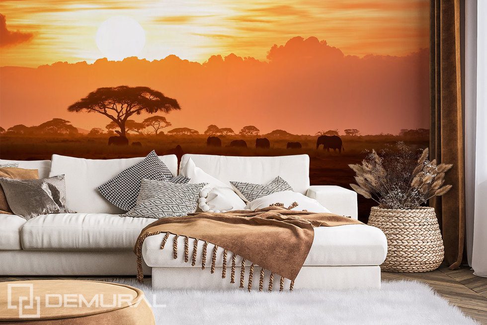 Afrykański zachód słońca Fototapety Zachód Słońca Fototapety Demural